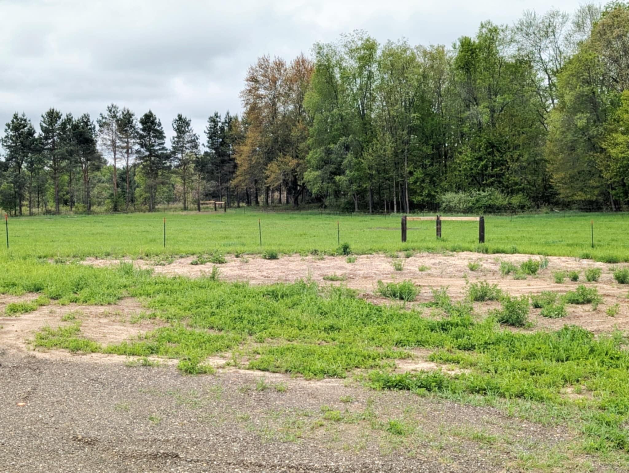 11701 North Vandecar Road Farwell, MI 48622 - Photo 5 of 56 1000026091