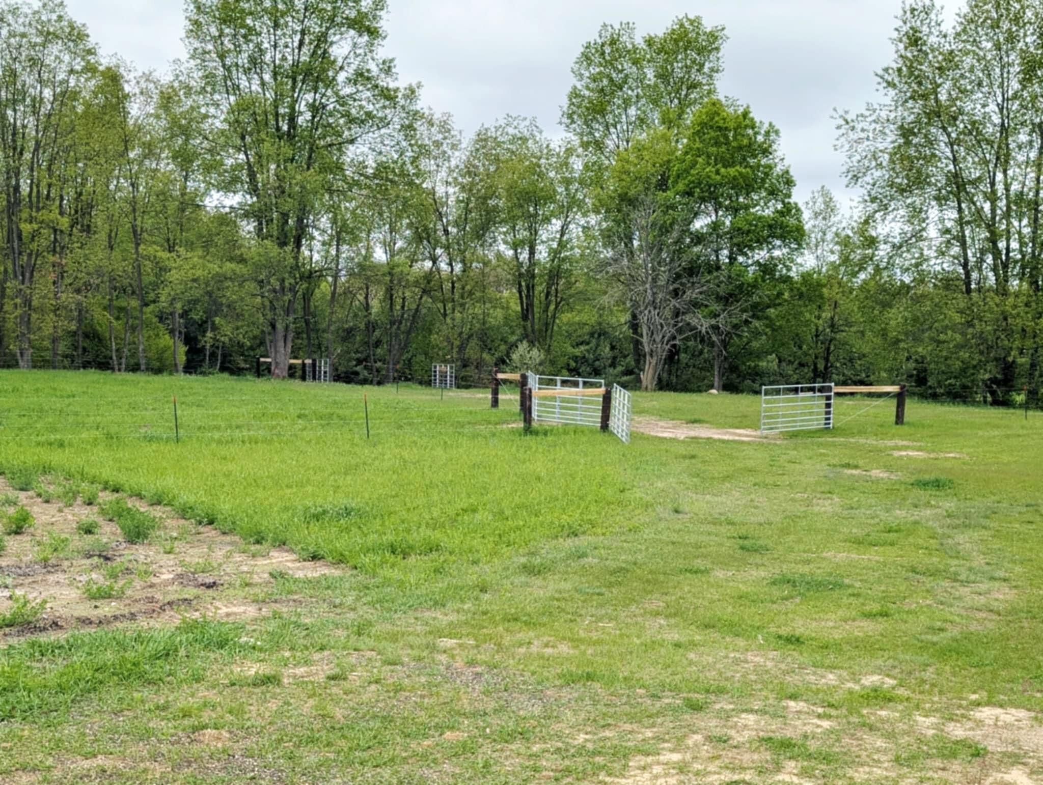 11701 North Vandecar Road Farwell, MI 48622 - Photo 6 of 56 1000026093