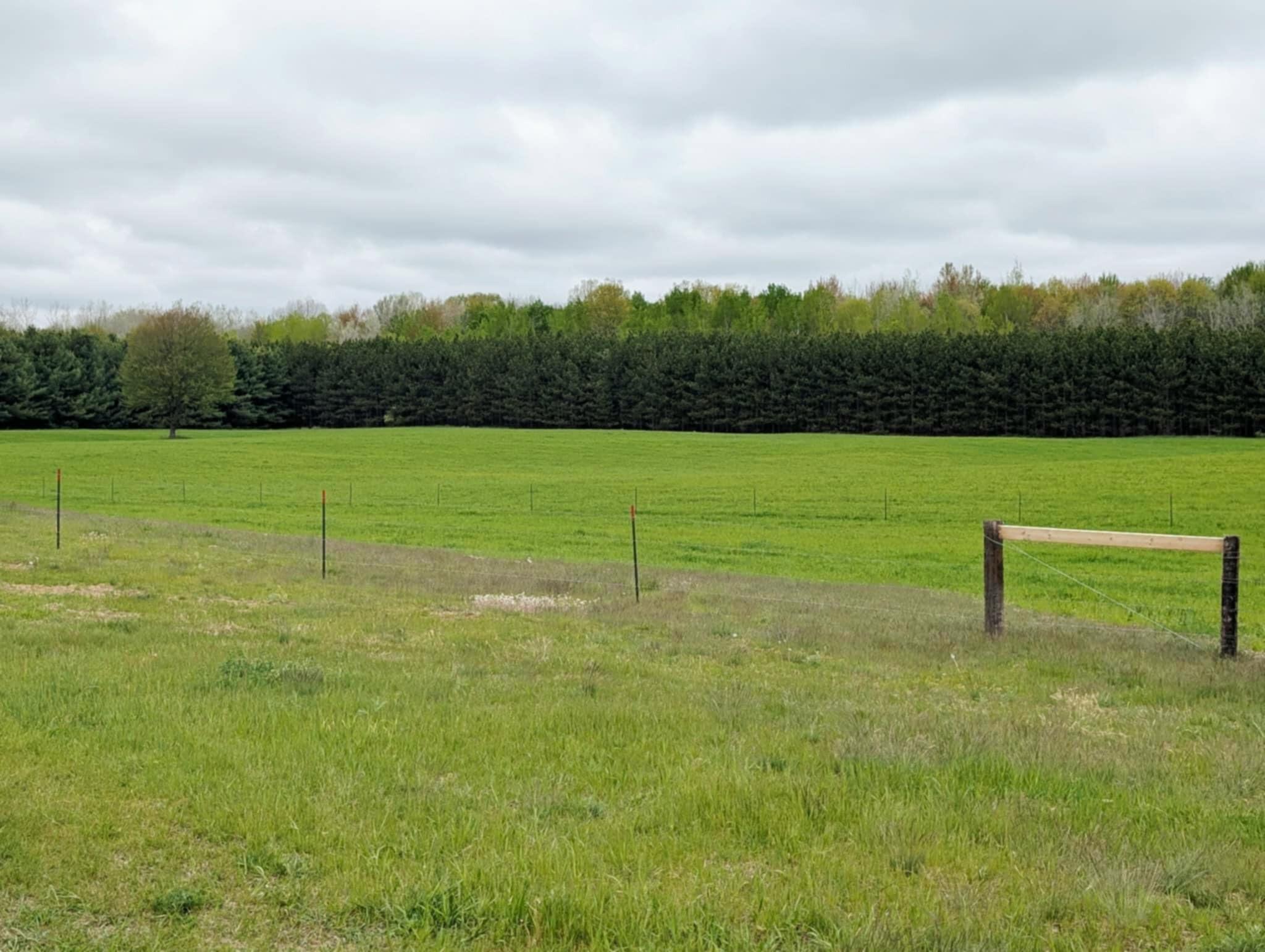 11701 North Vandecar Road Farwell, MI 48622 - Photo 7 of 56 1000026092