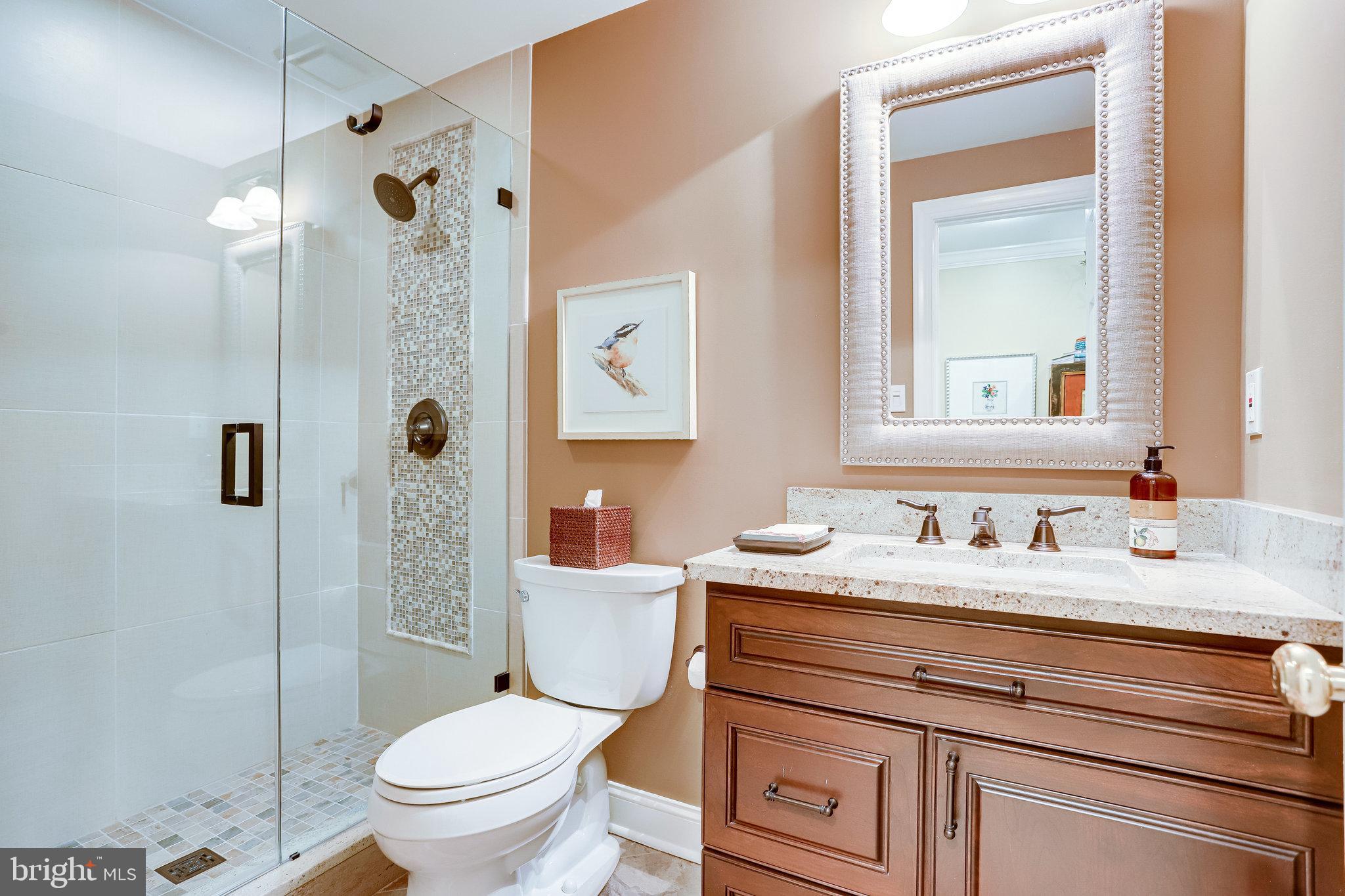 11406 Wild Bramble Way Reston, VA 20194 - Photo 73 of 87 Lower Level: FULL BATH! Perfect for Guests!
