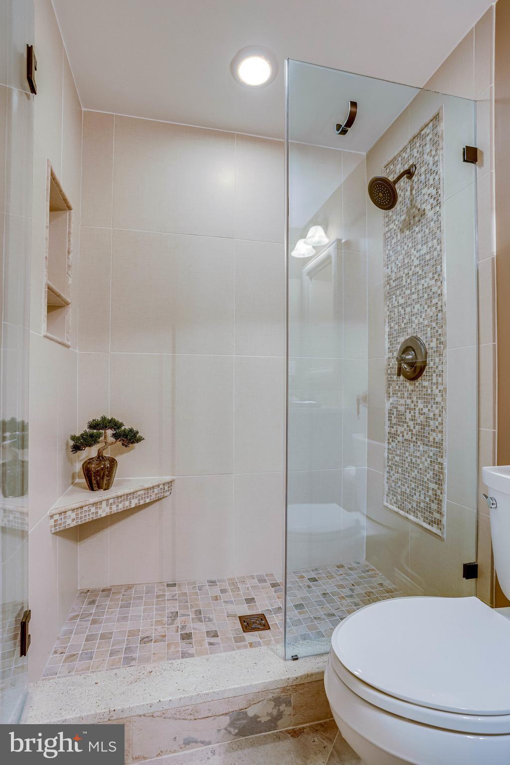 11406 Wild Bramble Way Reston, VA 20194 - Photo 74 of 87 Frameless Glass Shower! Just Gorgeous!!