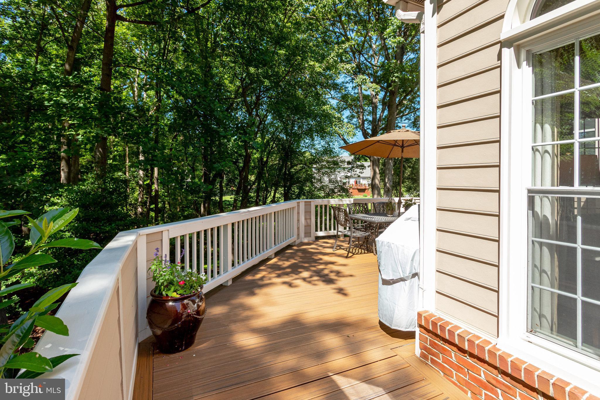 11406 Wild Bramble Way Reston, VA 20194 - Photo 75 of 87 Exterior: Side Deck- All Decking is Composite!