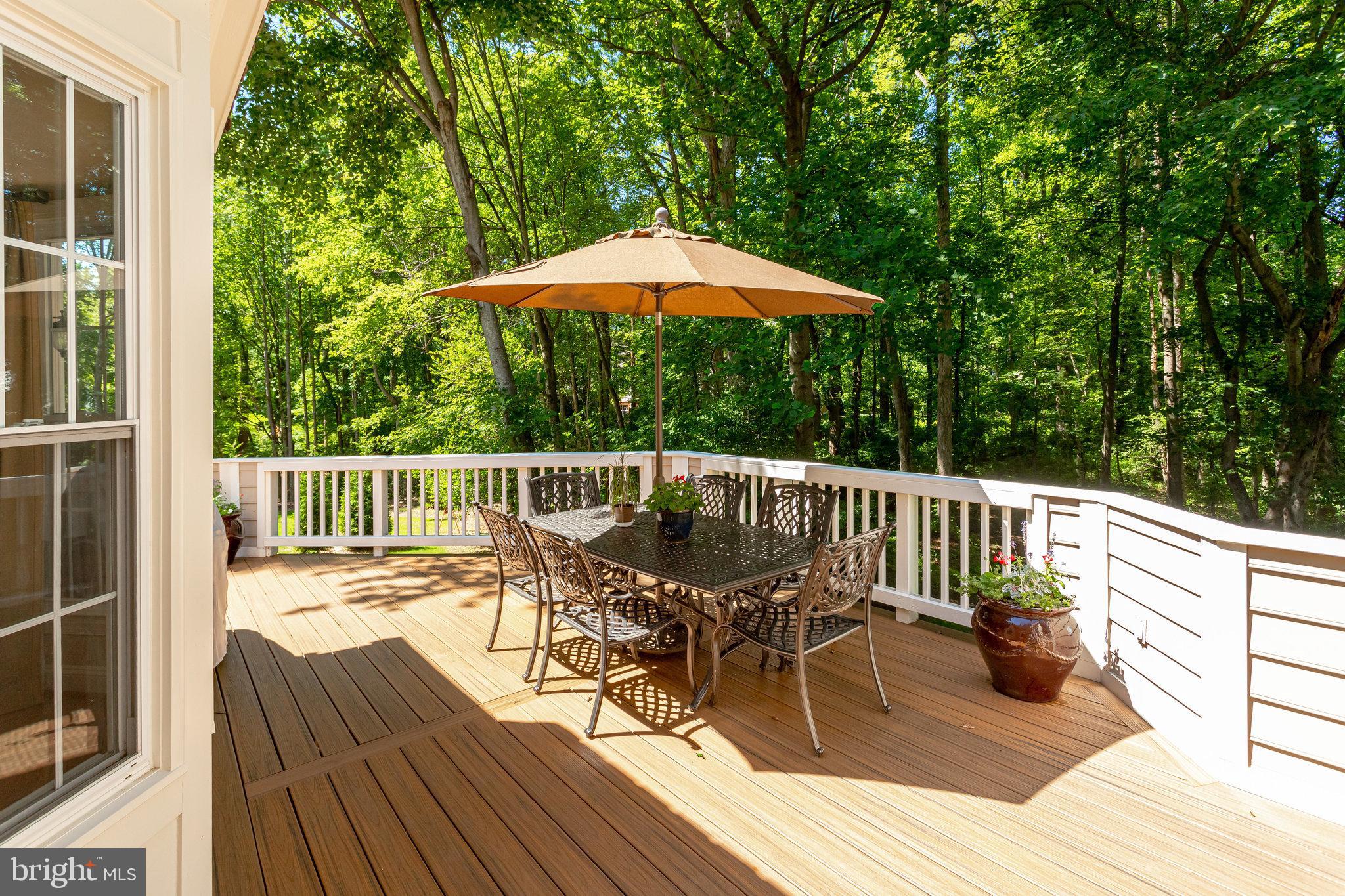11406 Wild Bramble Way Reston, VA 20194 - Photo 76 of 87 Beautiful Space right off Screened in Porch!