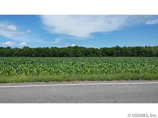 480 McIntosh Road Ogden, NY 14428 - Photo 1 of 1 Exterior Front
