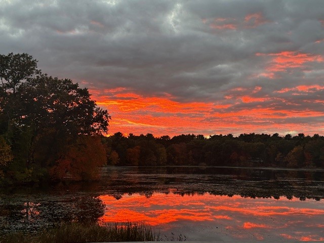 18 Maple Root Road Coventry, RI 02816 - Photo 32 of 44