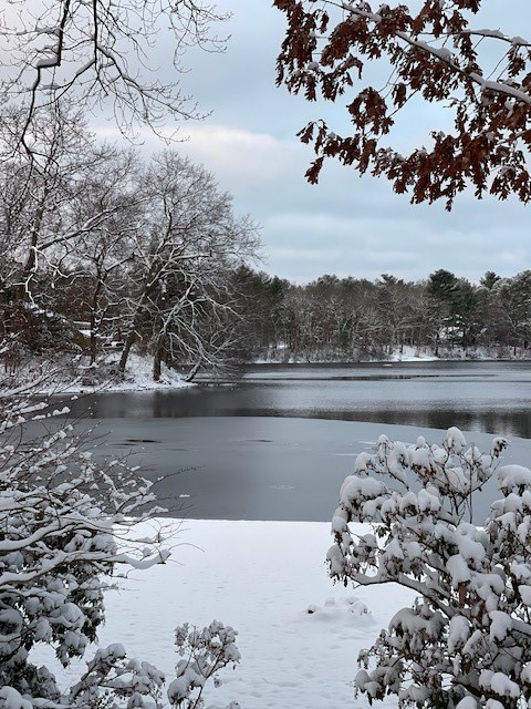 18 Maple Root Road Coventry, RI 02816 - Photo 34 of 44