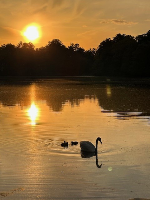 18 Maple Root Road Coventry, RI 02816 - Photo 40 of 44