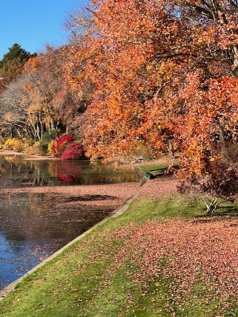 18 Maple Root Road Coventry, RI 02816 - Photo 42 of 44