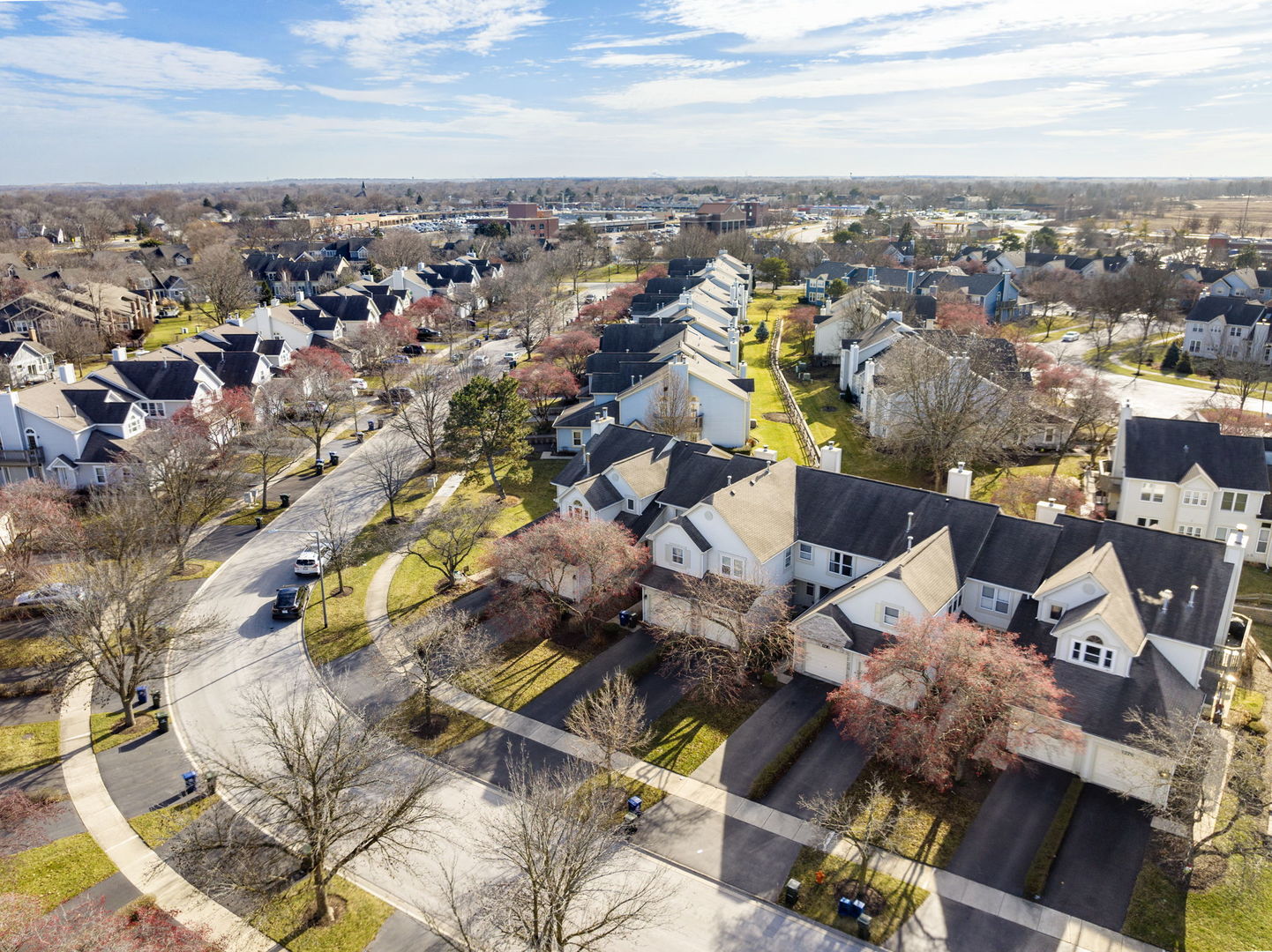 1264 Rhodes Lane Naperville, IL 60540 - Photo 35 of 35 an aerial view of multiple house with yard