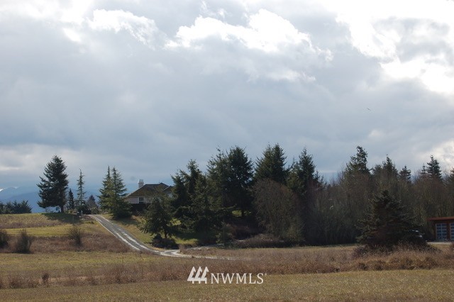 0 Lot 16 Buckhorn Road Sequim, WA 98382 - Photo 4 of 7