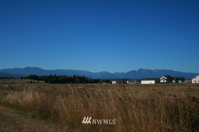 0 Lot 16 Buckhorn Road Sequim, WA 98382 - Photo 6 of 7