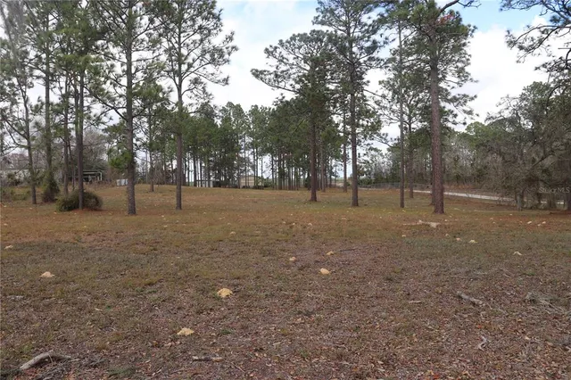 a view of outdoor space with trees