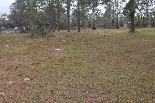 a view of outdoor space with trees