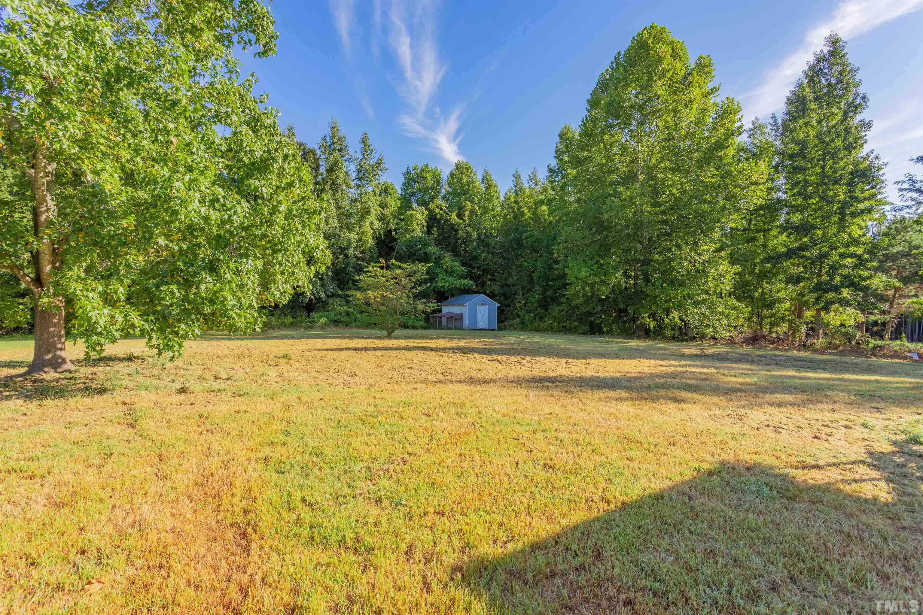 579 George Sherman Road Rougemont, NC 27572 - Photo 20 of 22