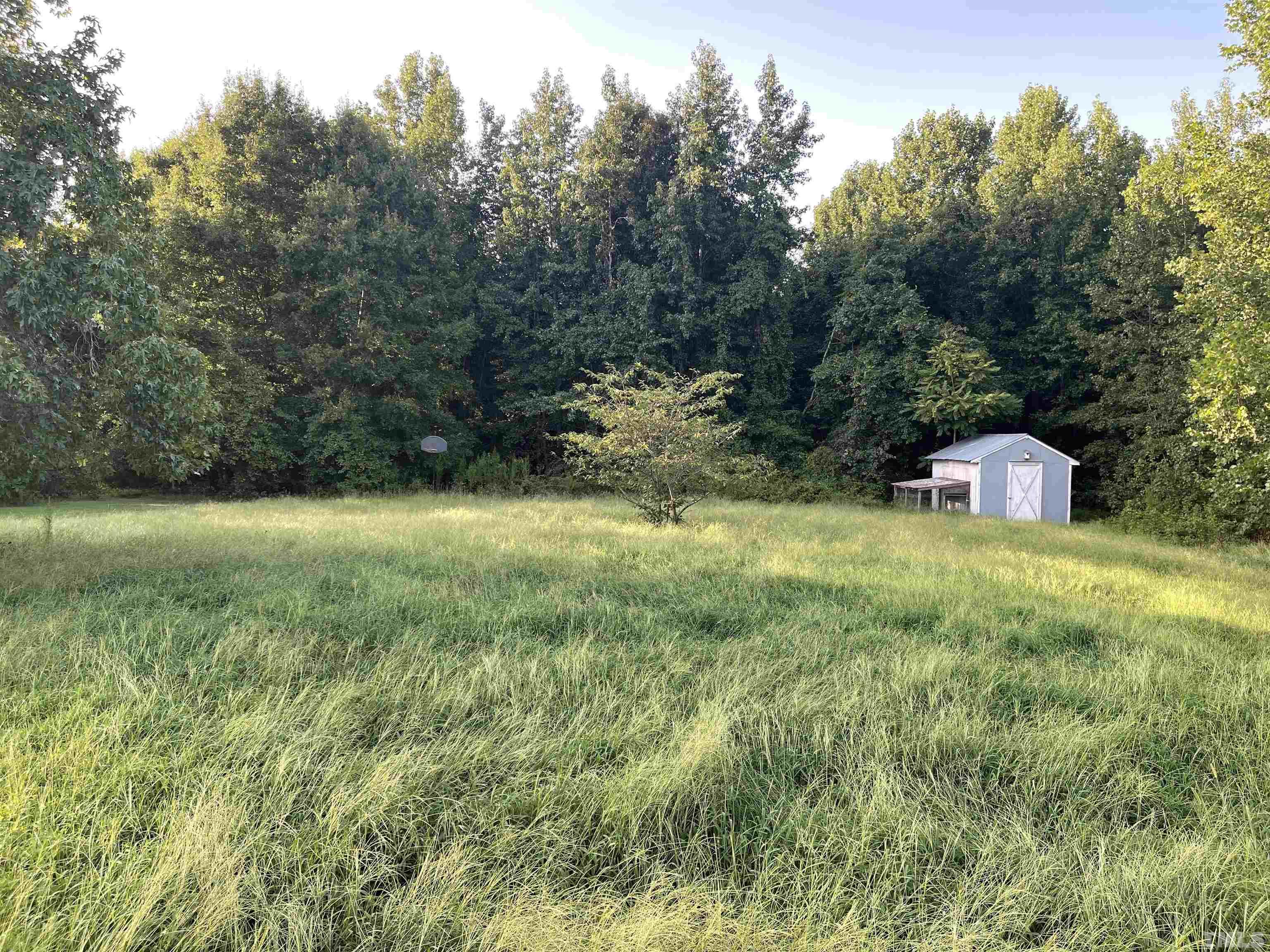 579 George Sherman Road Rougemont, NC 27572 - Photo 3 of 22