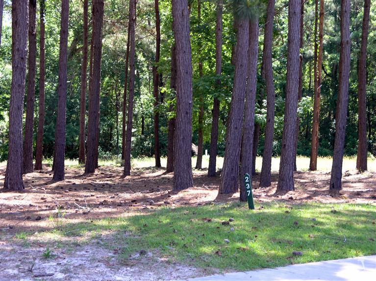 9273 West Lake Road Calabash, NC 28467 - Photo 1 of 10 Primary Photo