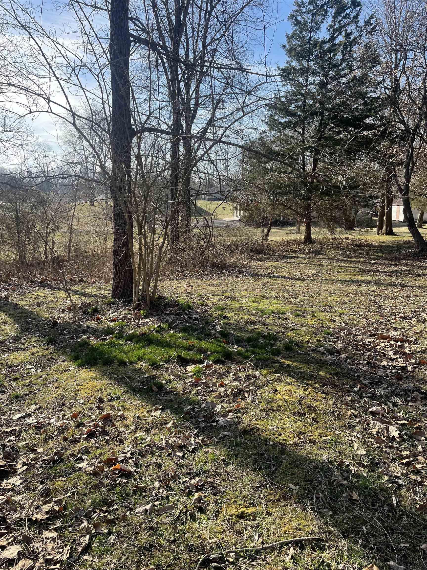 583 Parks Implement Road Mitchell, IN 47446 - Photo 4 of 7