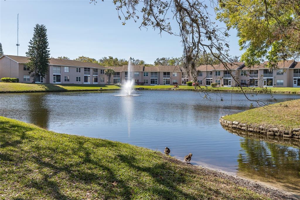 4933 Myrtle Oak Drive, Unit 23 New Port Richey, FL 34653 - Photo 26 of 26
