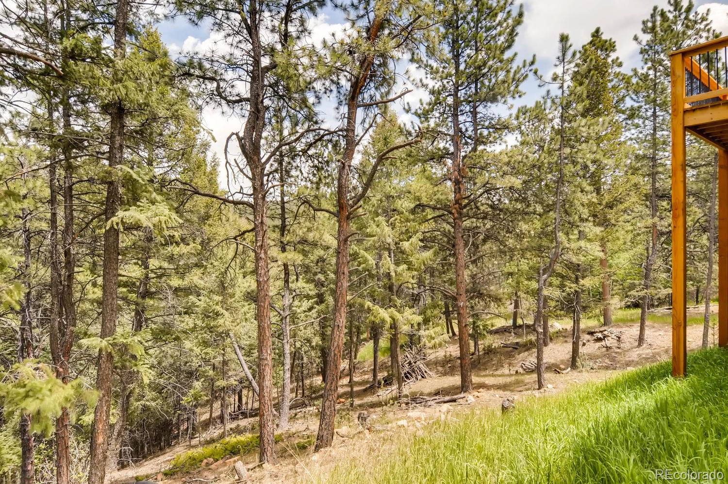 1444 Roland Drive Bailey, CO 80421 - Photo 21 of 25 Gallery Image 21