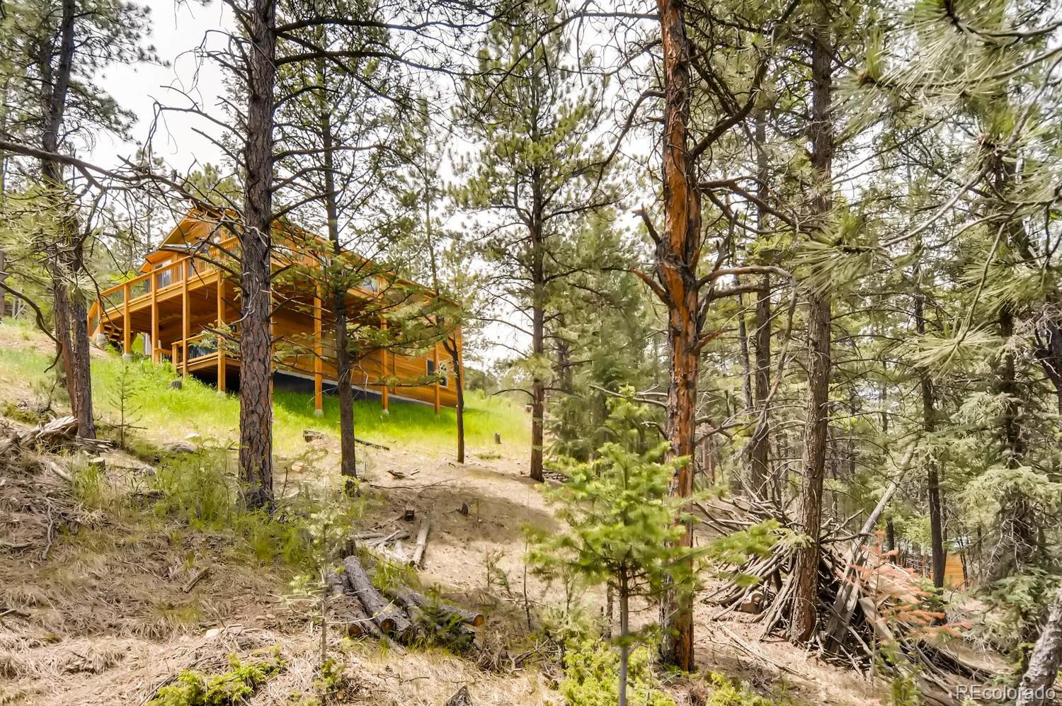 1444 Roland Drive Bailey, CO 80421 - Photo 22 of 25 Gallery Image 22