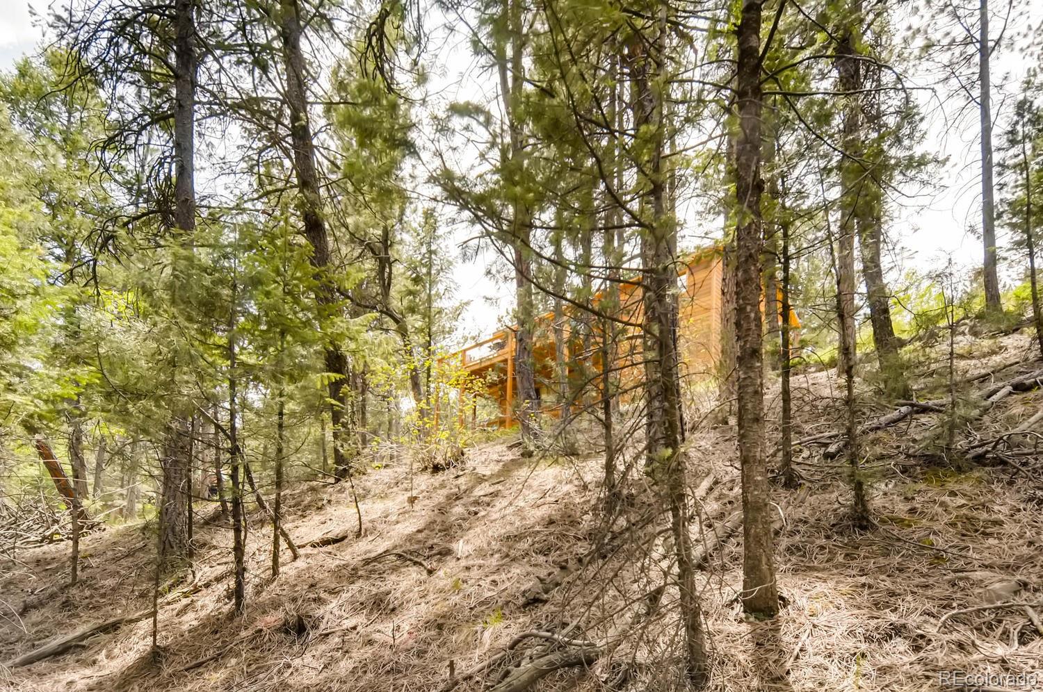 1444 Roland Drive Bailey, CO 80421 - Photo 23 of 25 Gallery Image 23