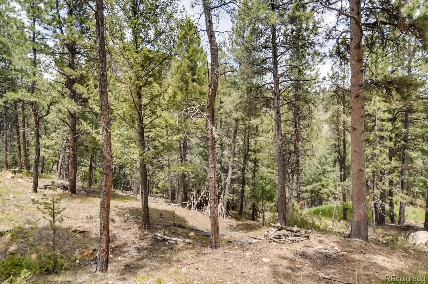 1444 Roland Drive Bailey, CO 80421 - Photo 24 of 25 Gallery Image 24