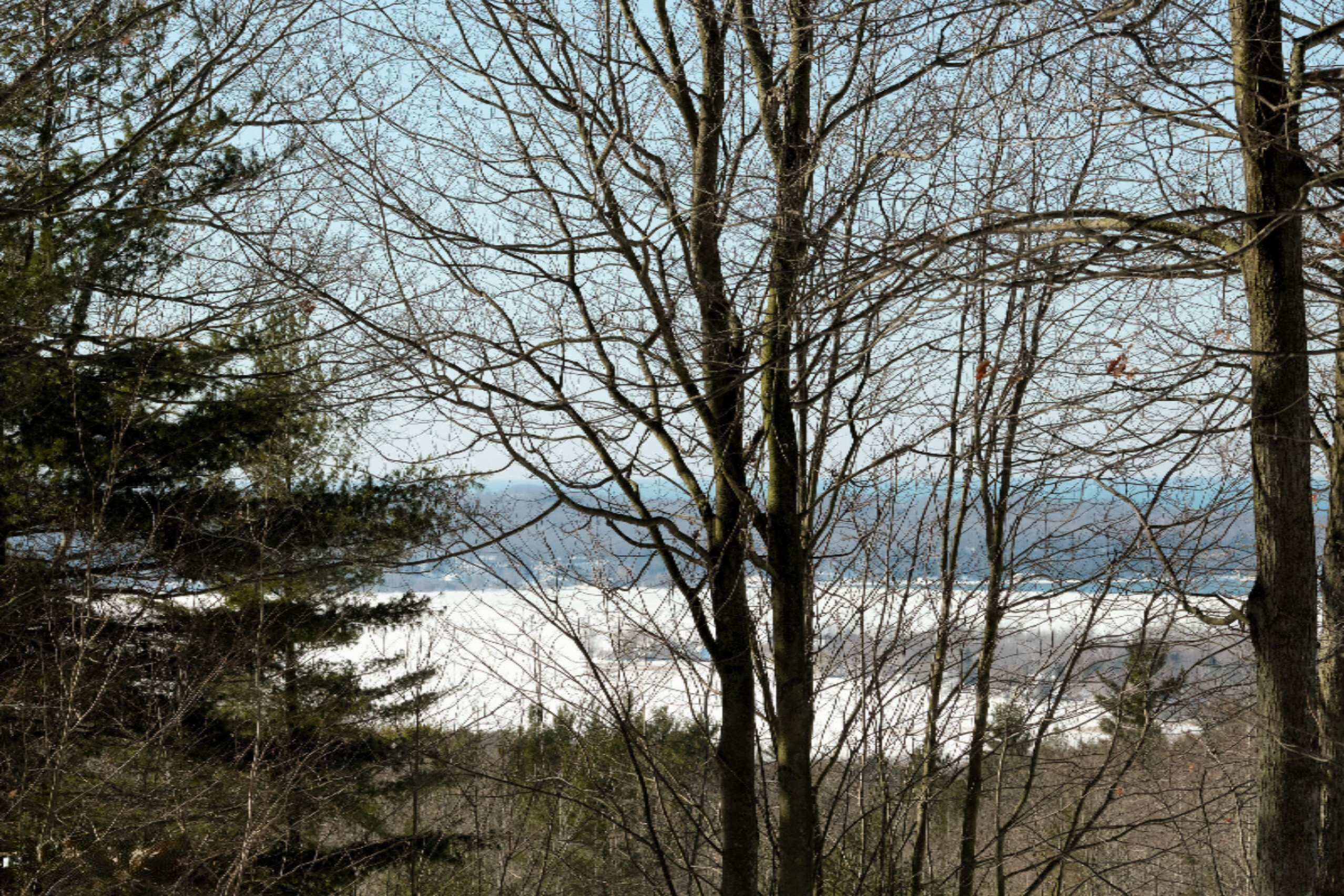 9800 Emerald Ridge Trail Onekama, MI 49675 - Photo 3 of 66 Seasonal view of Portage Lake