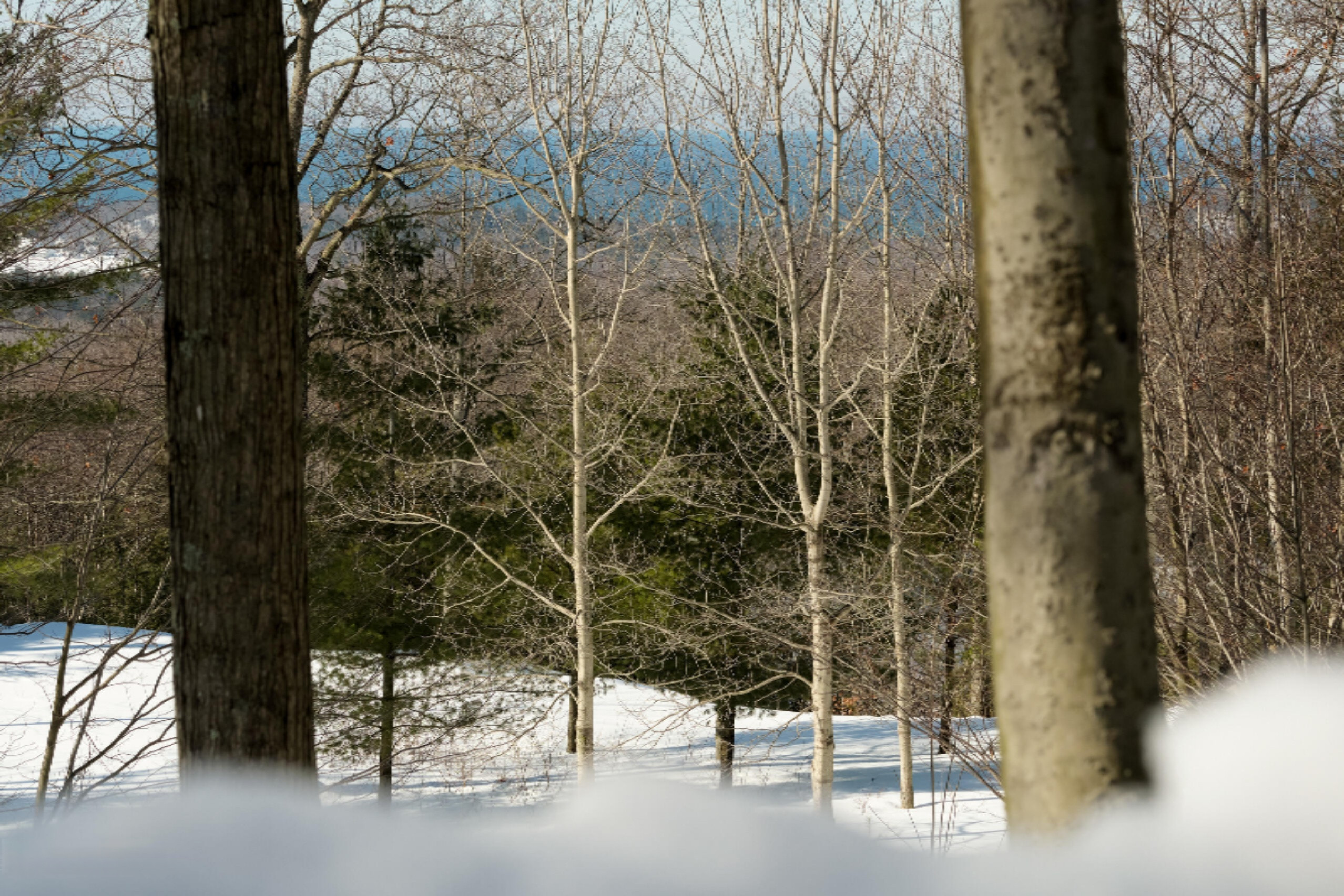 9800 Emerald Ridge Trail Onekama, MI 49675 - Photo 4 of 66 Seasonal view of Lake Michigan!