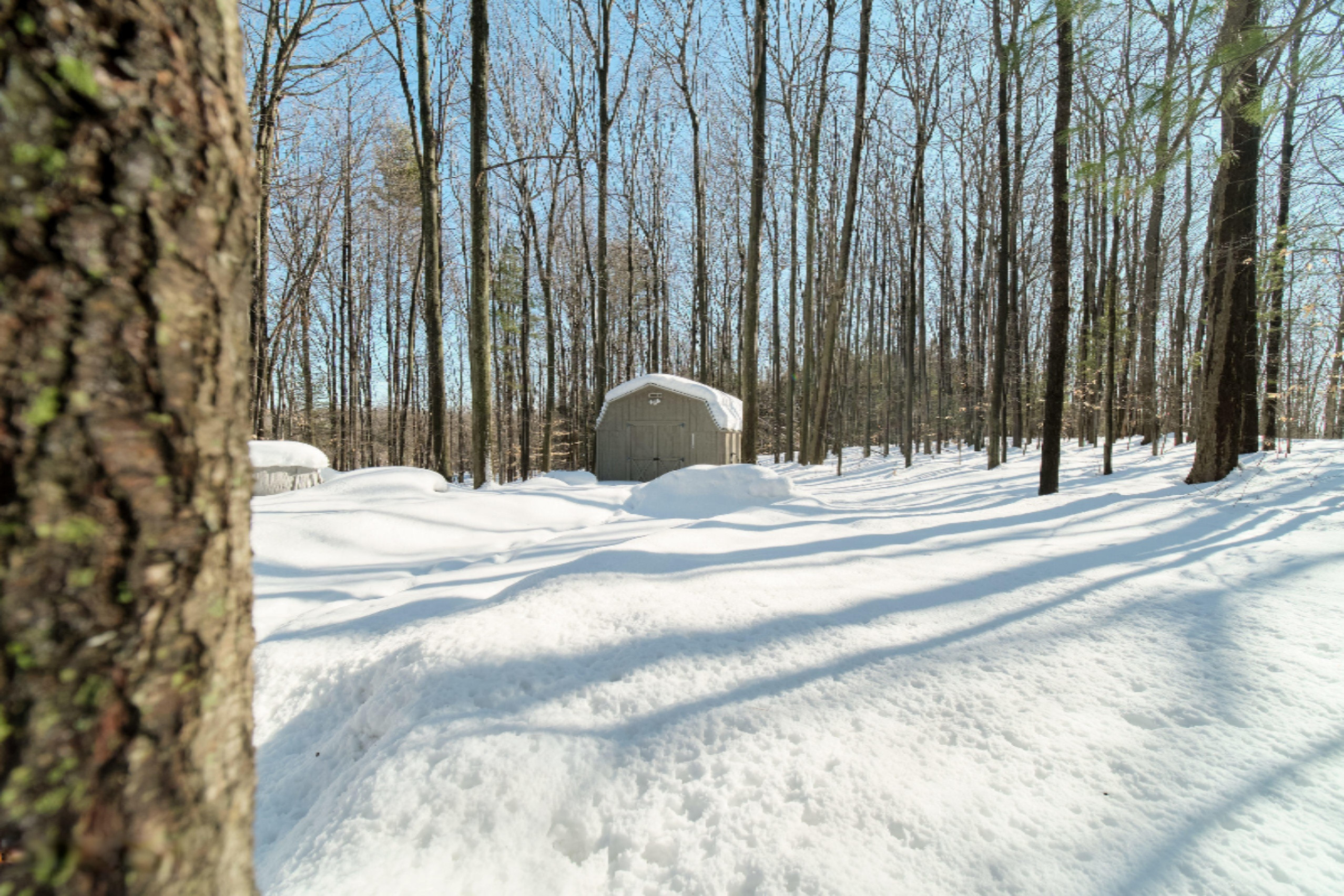 9800 Emerald Ridge Trail Onekama, MI 49675 - Photo 47 of 66 Wood storage shed