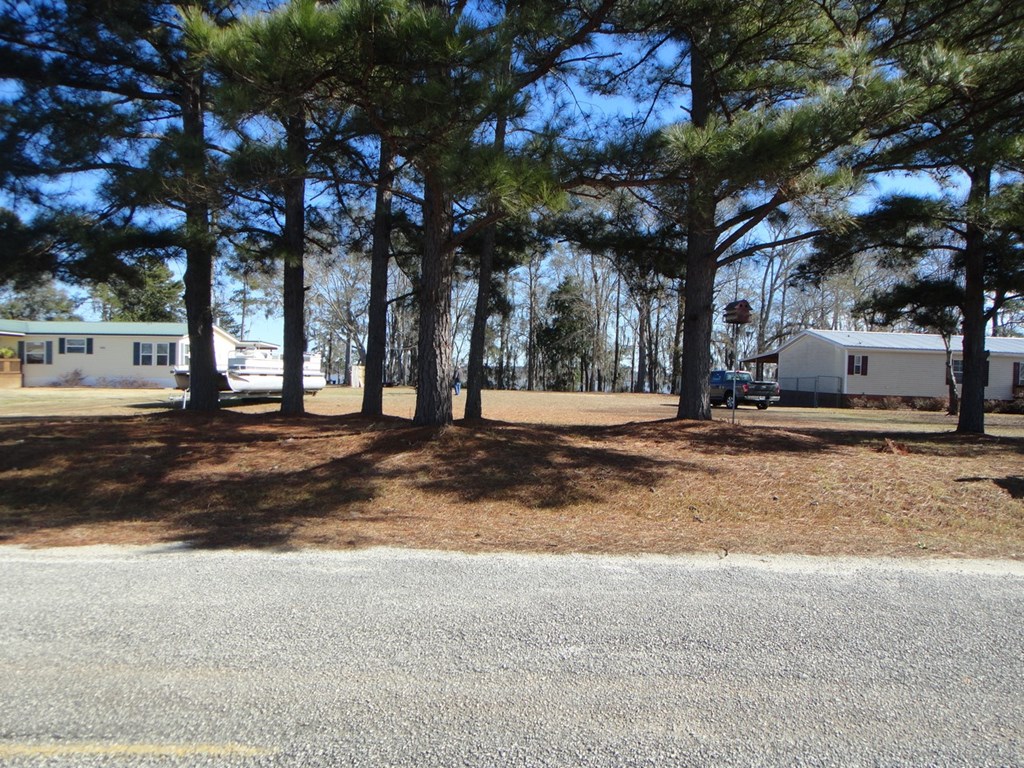 2791 Calhoun Drive Abbeville, AL 36310 - Photo 2 of 12