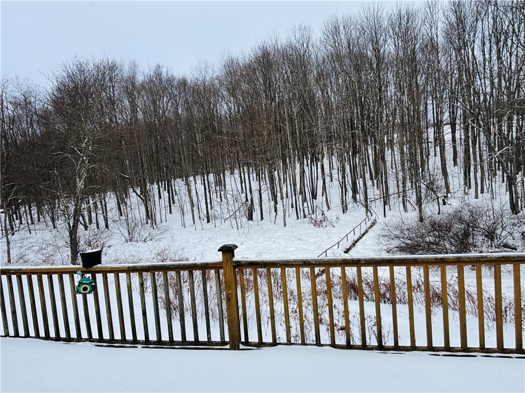 595 Summit Lake Road Edmeston, NY 13335 - Photo 32 of 42 Views from the back deck