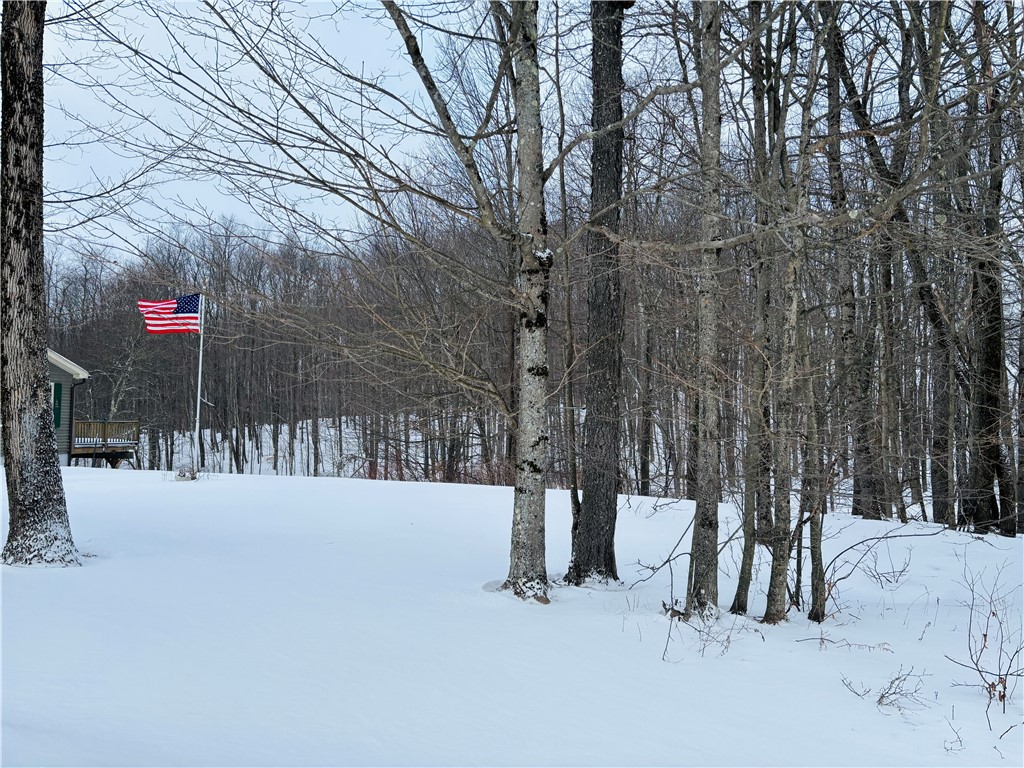 595 Summit Lake Road Edmeston, NY 13335 - Photo 35 of 42