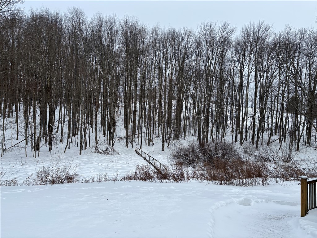595 Summit Lake Road Edmeston, NY 13335 - Photo 36 of 42 Back yard with walking bridge