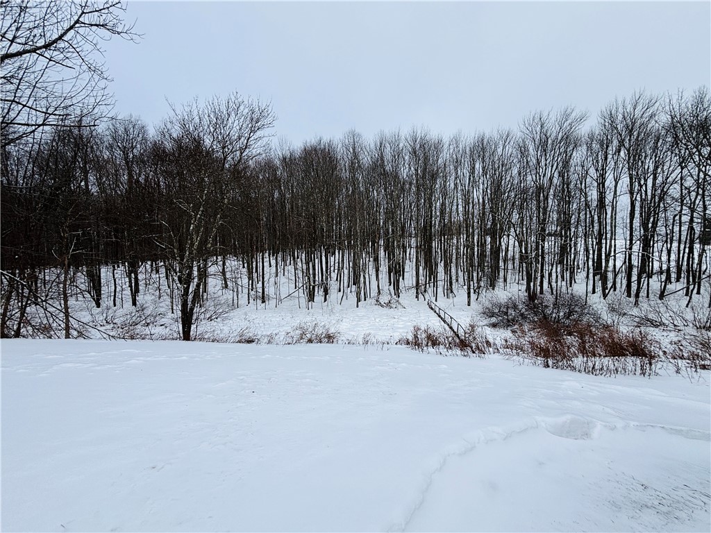 595 Summit Lake Road Edmeston, NY 13335 - Photo 38 of 42