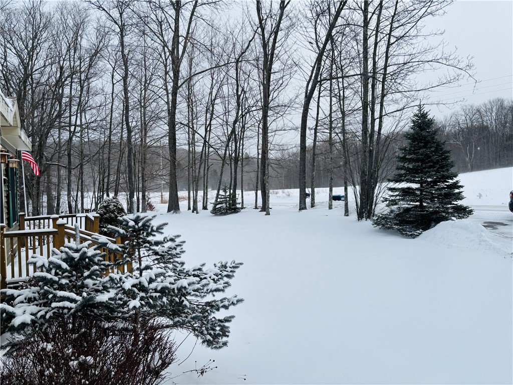 595 Summit Lake Road Edmeston, NY 13335 - Photo 39 of 42