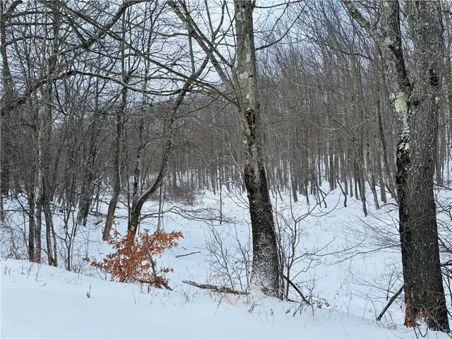 $255,000 | 595 Summit Lake Road, Edmeston, NY 13335