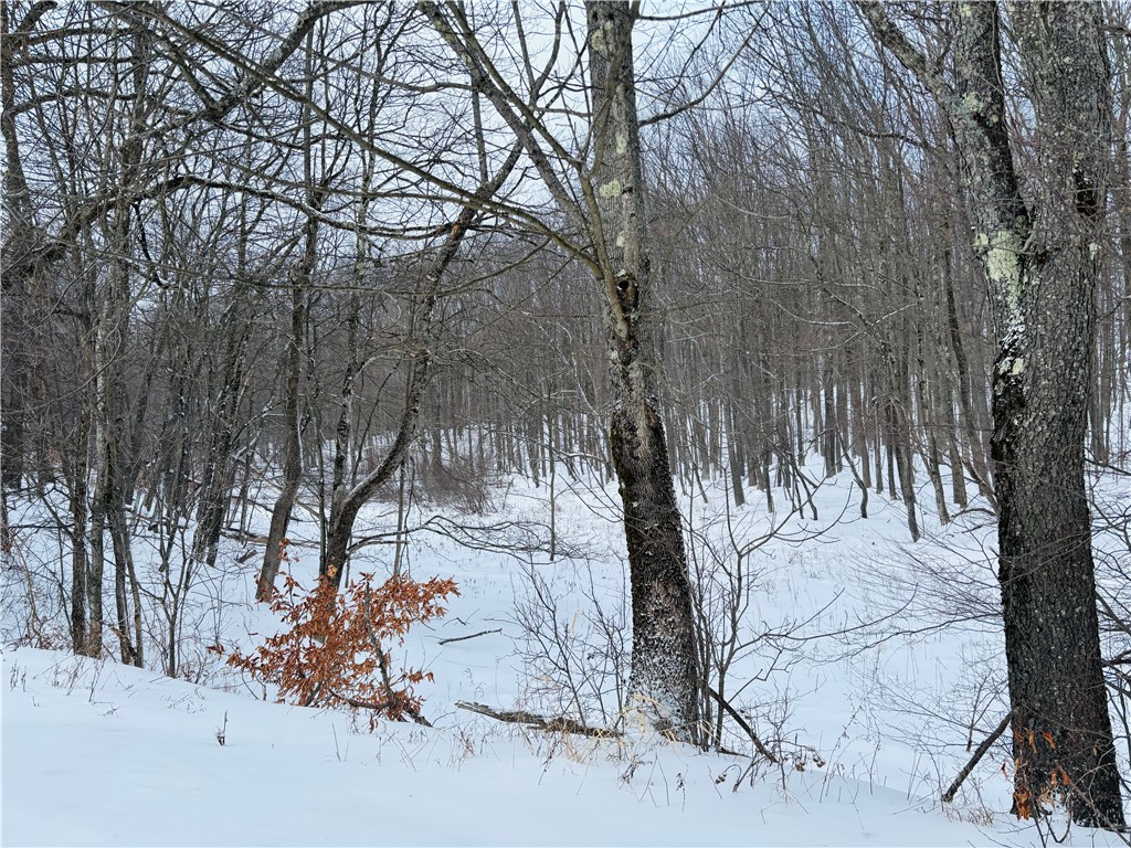 595 Summit Lake Road Edmeston, NY 13335 - Photo 40 of 42