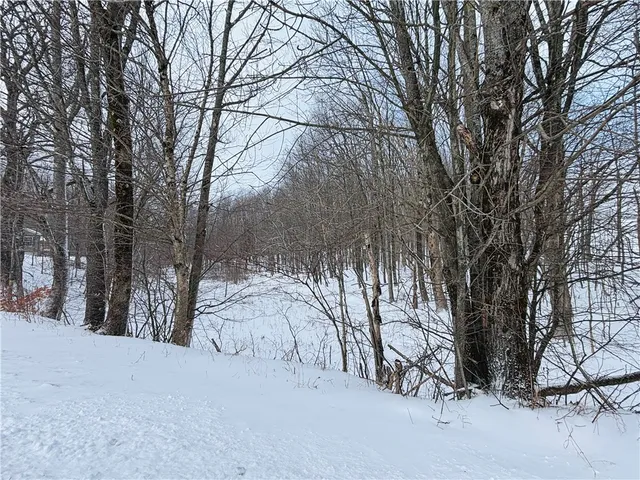 $255,000 | 595 Summit Lake Road, Edmeston, NY 13335