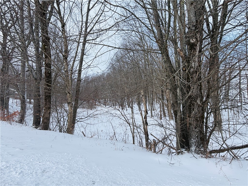 595 Summit Lake Road Edmeston, NY 13335 - Photo 41 of 42