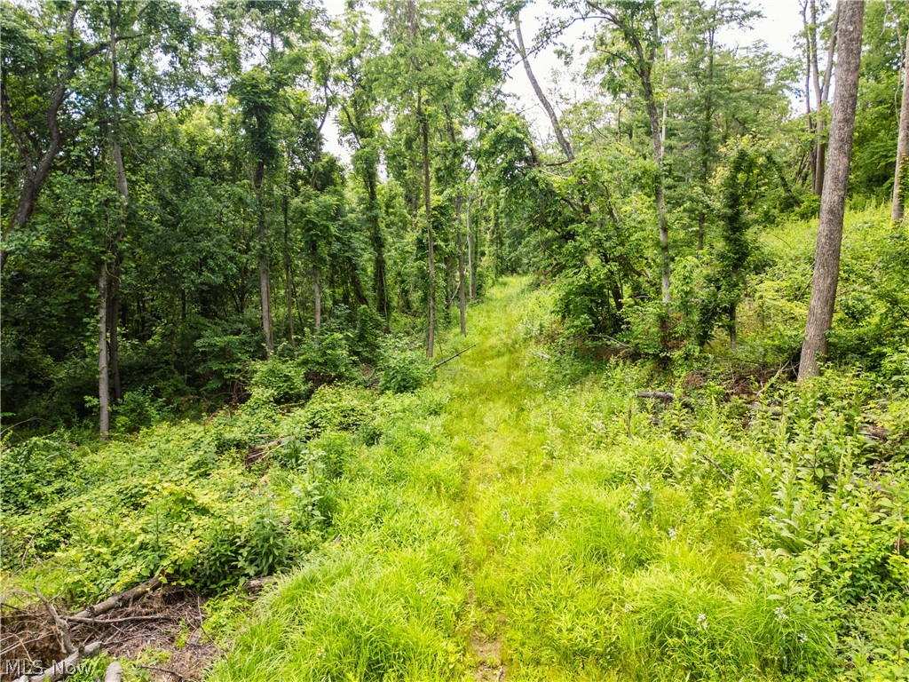 Taylor Road Cambridge, OH 43725 - Photo 24 of 48