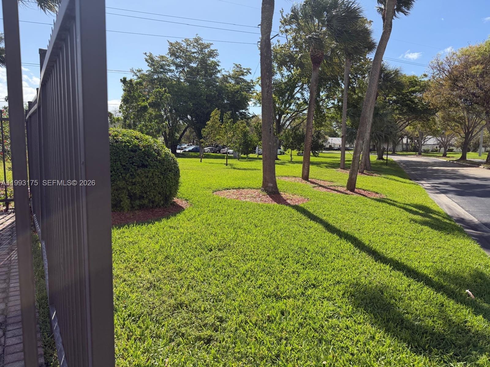 12695 Southwest 144th Terrace Miami, FL 33186 - Photo 22 of 43 a view of a park with large trees