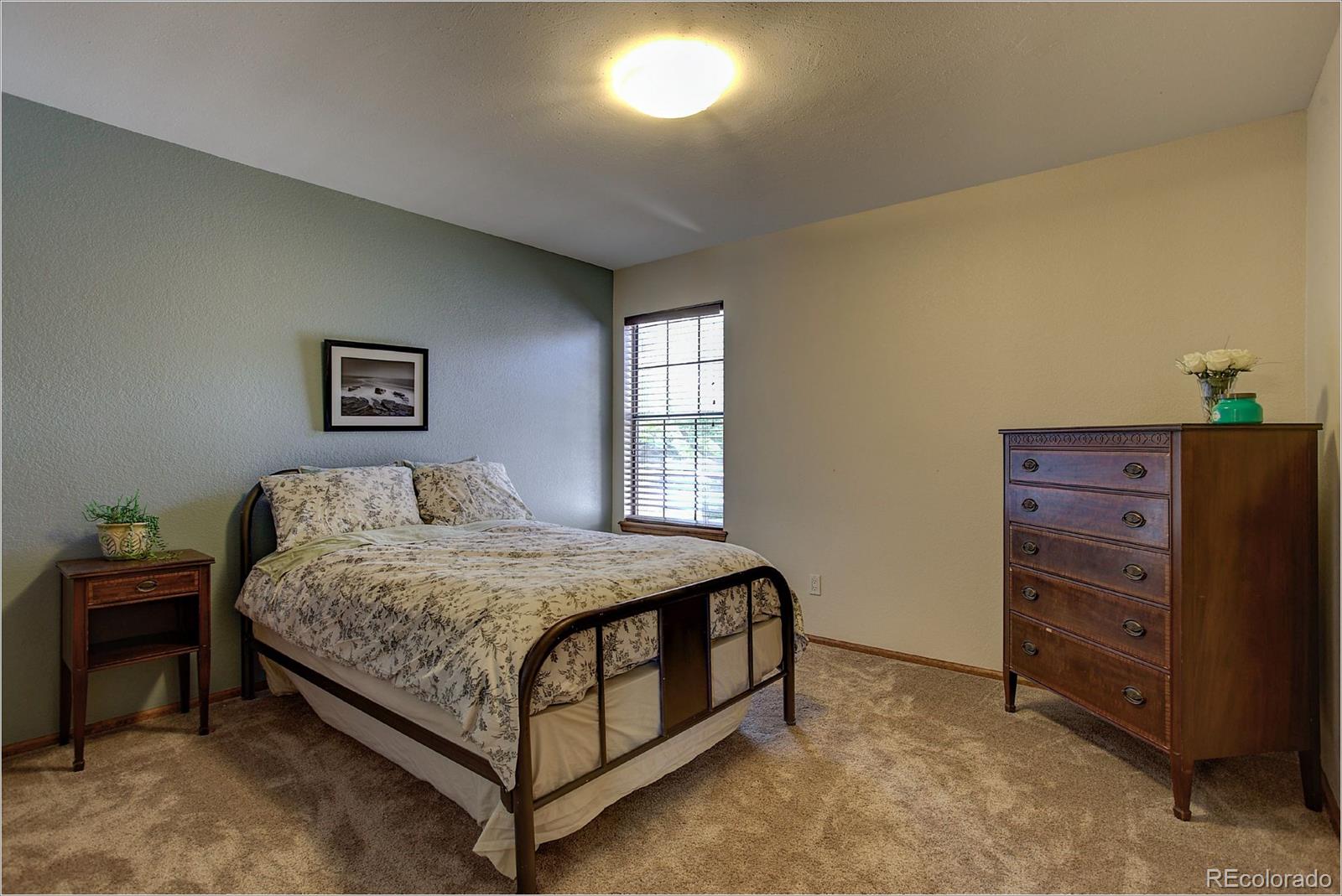 511 Ridgeglen Way Highlands Ranch, CO 80126 - Photo 21 of 33 Gallery Image 21