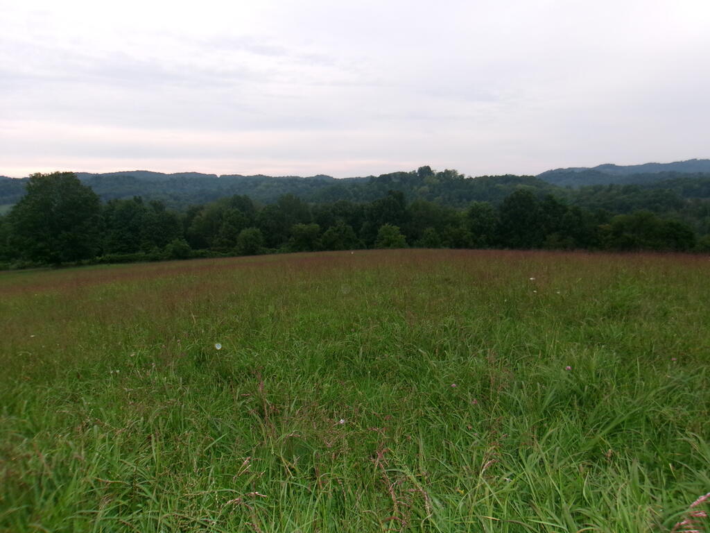 Tbd Little Acres Road North Tazewell, VA 24630 - Photo 5 of 15 Gallery Image 5