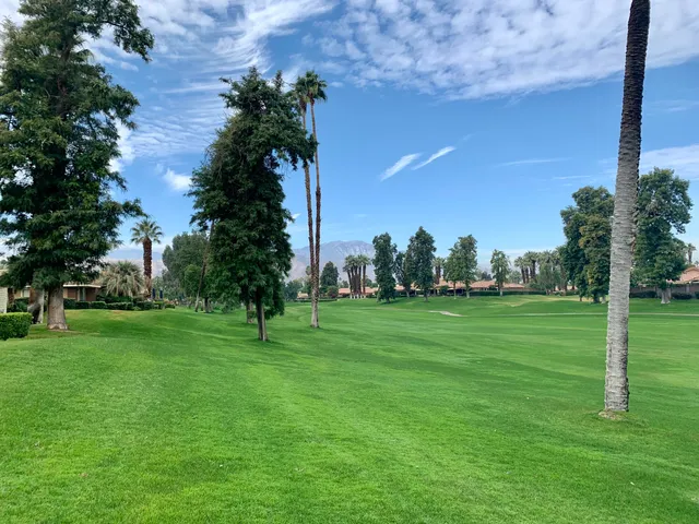 a view of green field