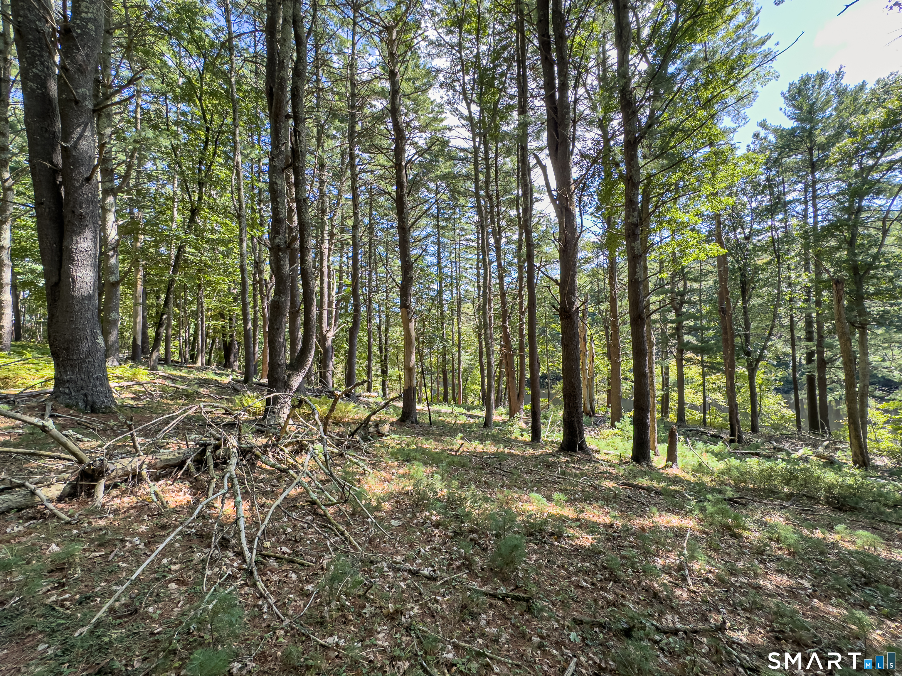 49 Stone Road Killingly, CT 06241 - Photo 9 of 20 Gallery Image 9