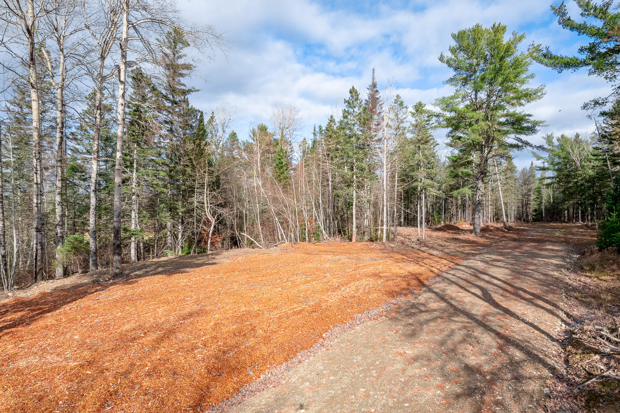 Lot 18 Rowell Road Holden, ME 04429 - Photo 15 of 17 Driveway-4