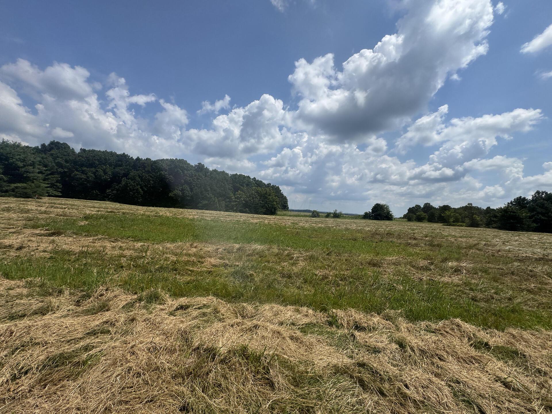 370 Golf Course Road, Unit TRACT 5 SKYLINEACRES) Waverly, OH 45690 - Photo 18 of 38 CT-18