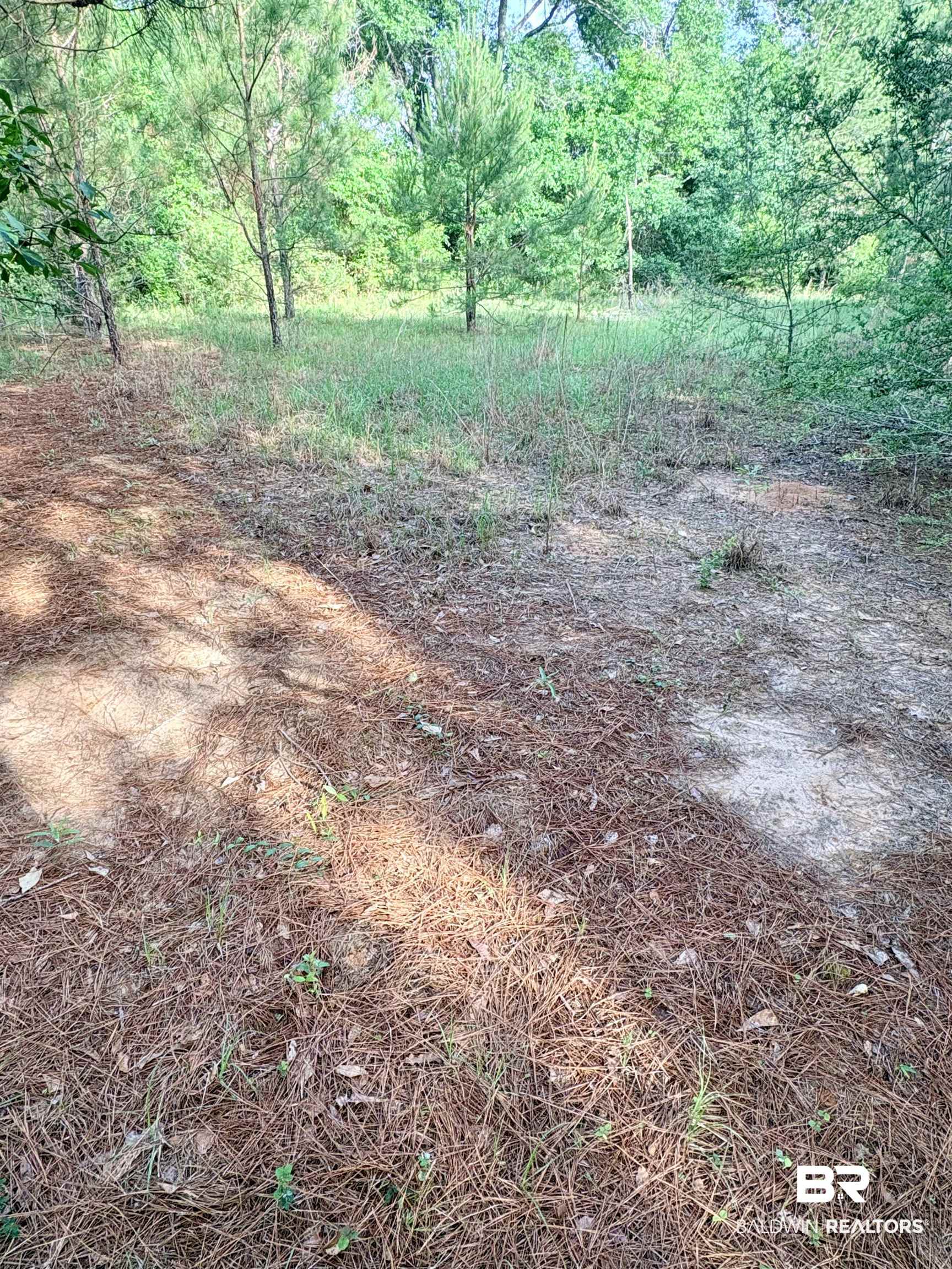 0 Joe Reeves Road Castleberry, AL 36432 - Photo 13 of 14
