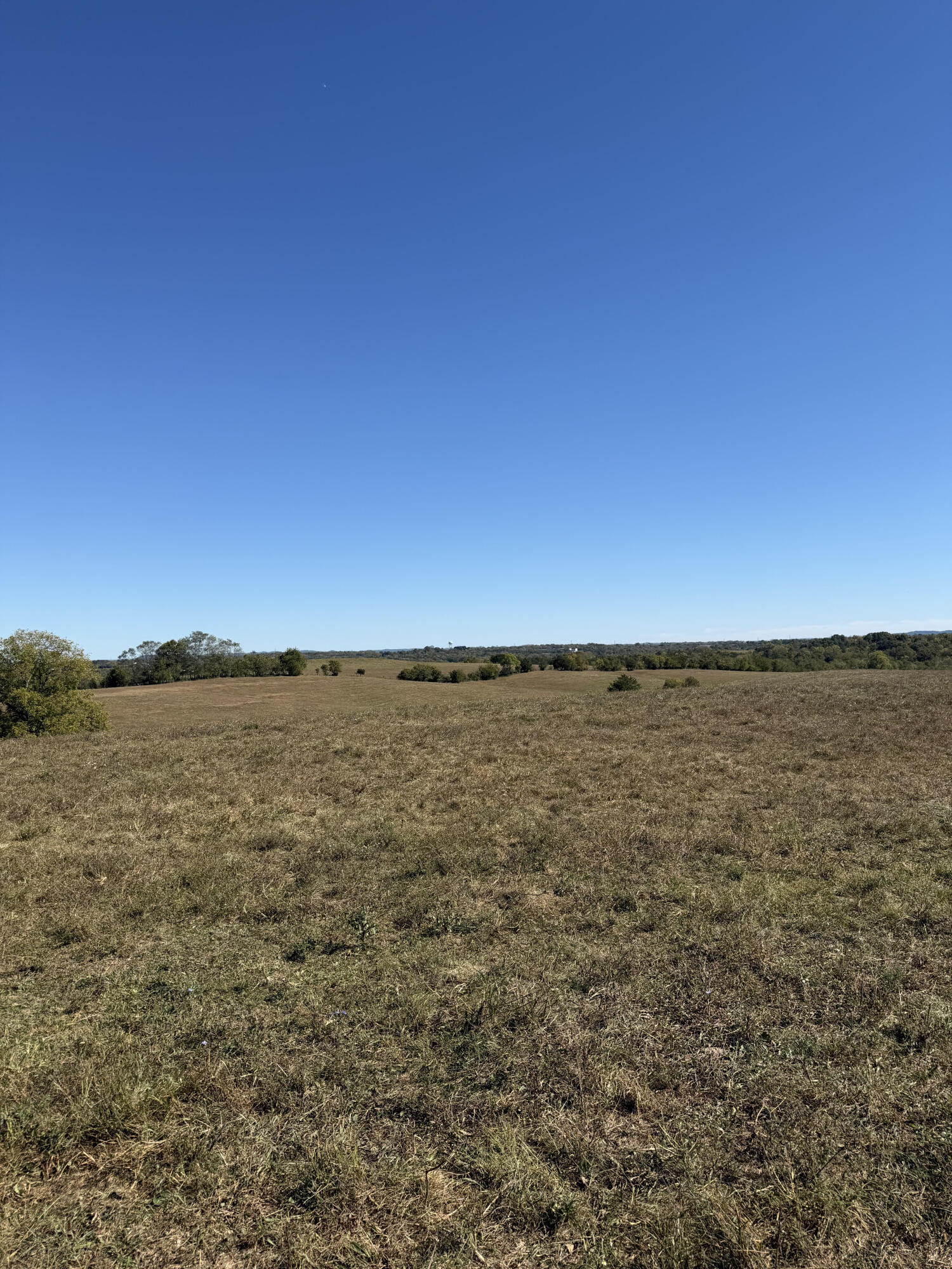 209 Rowland Cut-Off Road Stanford, KY 40484 - Photo 5 of 20 209row20