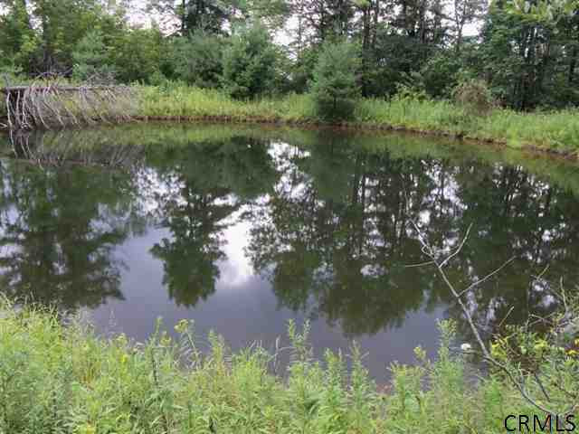 0 Armlin Hill Road Middleburgh, NY 12122 - Photo 1 of 1 Photo 1